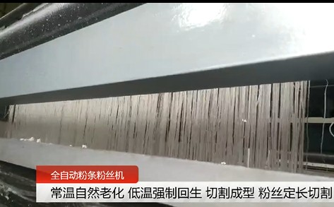 全自動(dòng)紅薯粉條機(jī) 全自動(dòng)紅薯粉條機(jī)