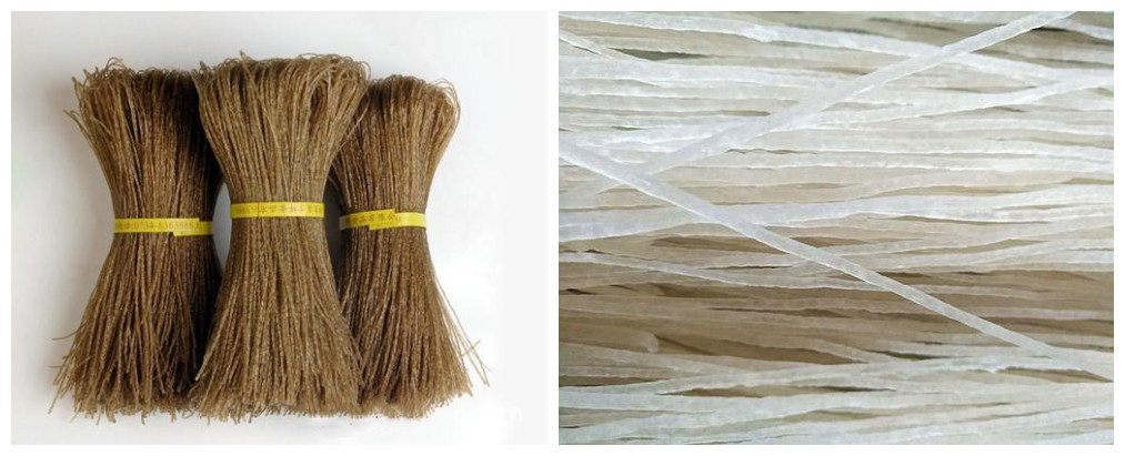 粉條形態(tài)對比