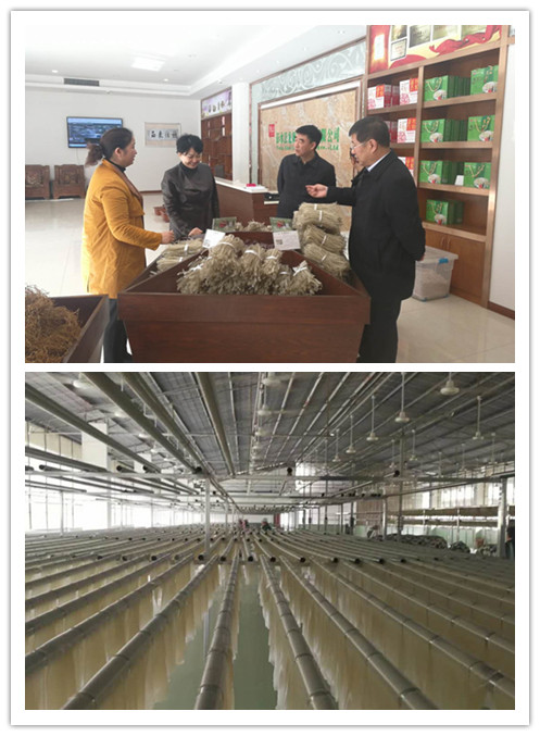 客戶實例 客戶實例