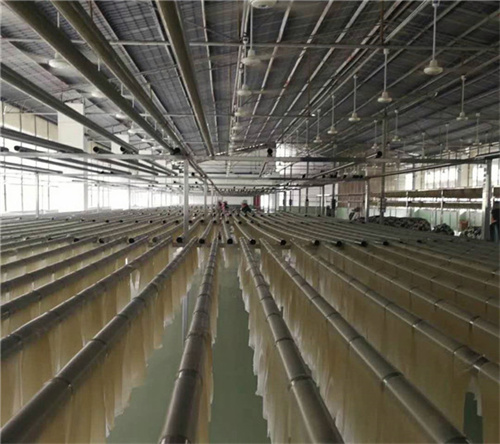 想入手全自動(dòng)紅薯粉條機(jī)設(shè)備卻預(yù)算有限？可以試試種工藝的粉條機(jī)